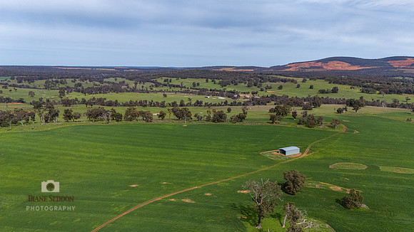 DJI_20250817115658_0006_D