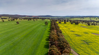 DJI_20250817115625_0004_D