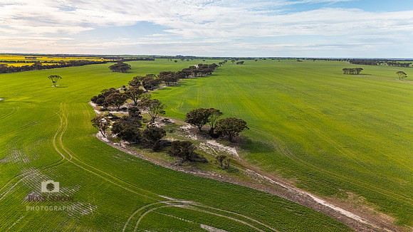 DJI_20250818093841_0036_D