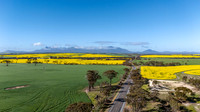 DJI_20250821092711_0055_D