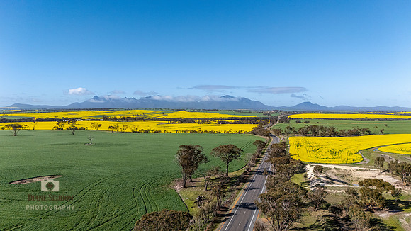 DJI_20250821092711_0055_D