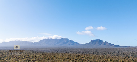DJI_20250821094624_0057_D