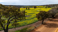 DJI_20250817115531_0001_D
