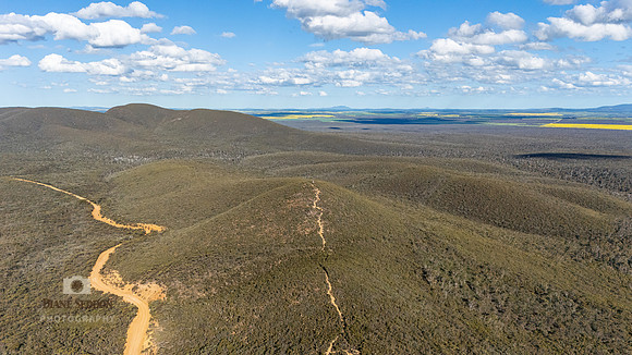 DJI_20250823152634_0097_D