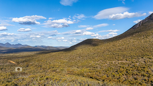 DJI_20250823155218_0108_D
