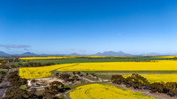 DJI_20250821092636_0054_D