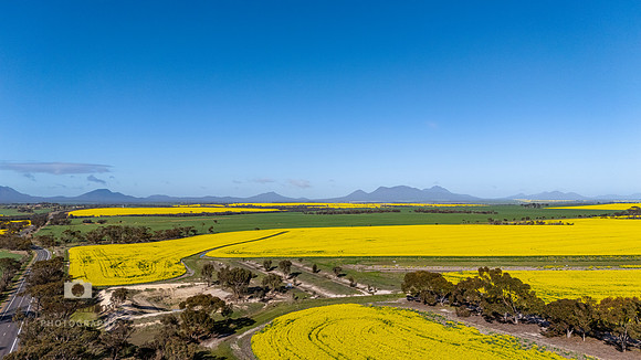 DJI_20250821092636_0054_D