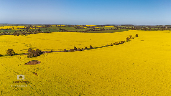 DJI_20250830101153_0137_D