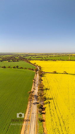 DJI_20250830101220_0139_D