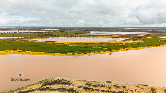 DJI_20250902093744_0144_D