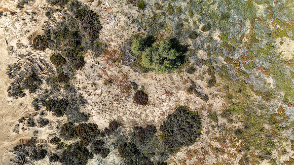 DJI_20250902114518_0166_D