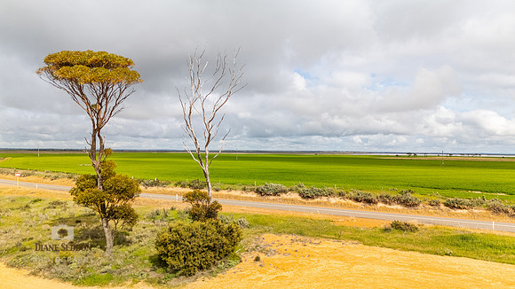DJI_20250902101126_0160_D