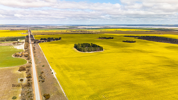 DJI_20250902122938_0178_D