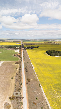 DJI_20250902122946_0179_D