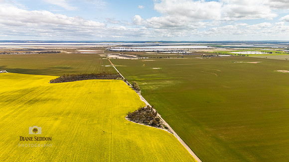 DJI_20250902122915_0176_D