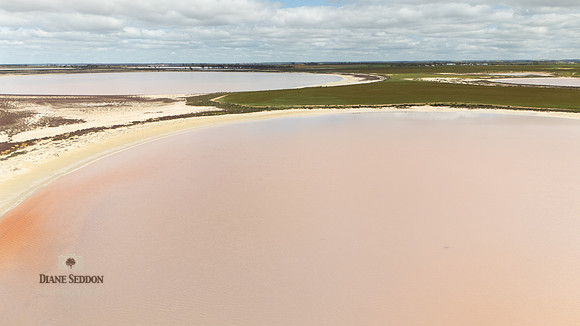 DJI_20250902124048_0181_D