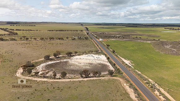 DJI_20250902124206_0183_D