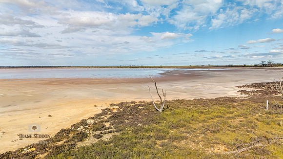 DJI_20250902143749_0190_D