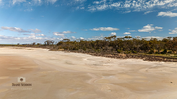 DJI_20250902143933_0195_D
