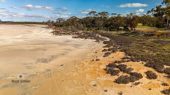 DJI_20250902143908_0194_D