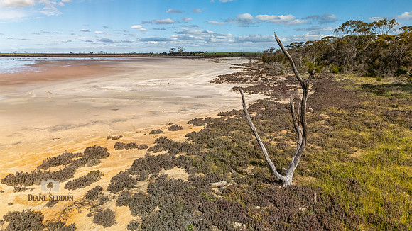 DJI_20250902143857_0193_D