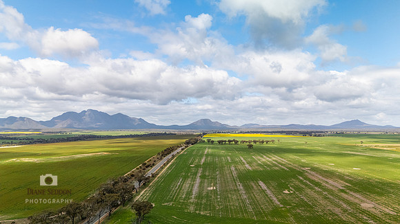 DJI_20250903113607_0225_D