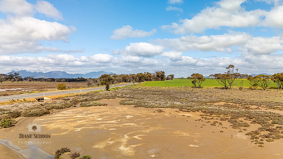 DJI_20250903115242_0230_D