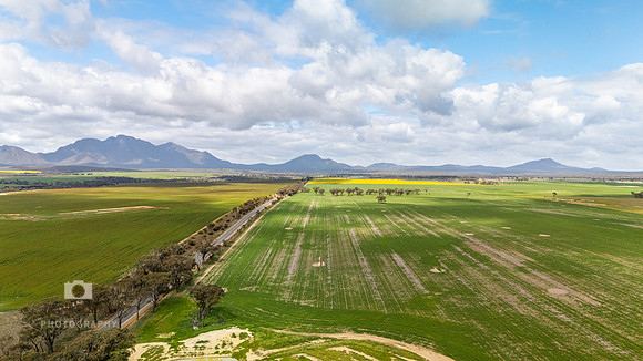 DJI_20250903113134_0219_D