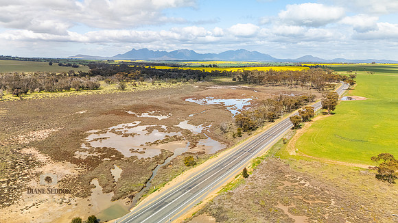 DJI_20250903115256_0231_D