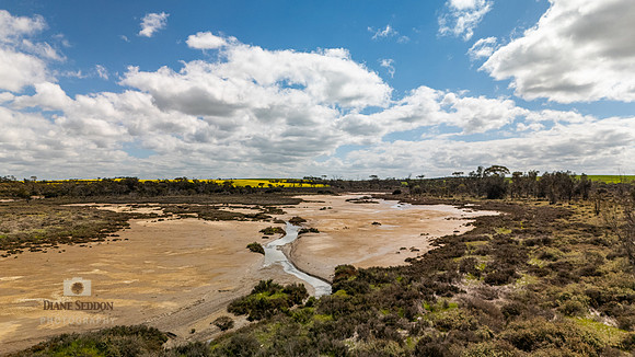 DJI_20250903115215_0229_D