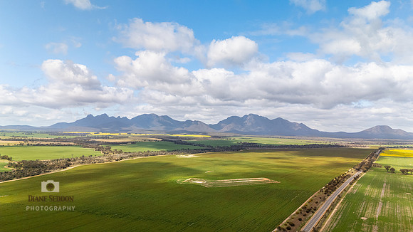 DJI_20250903113631_0226_D