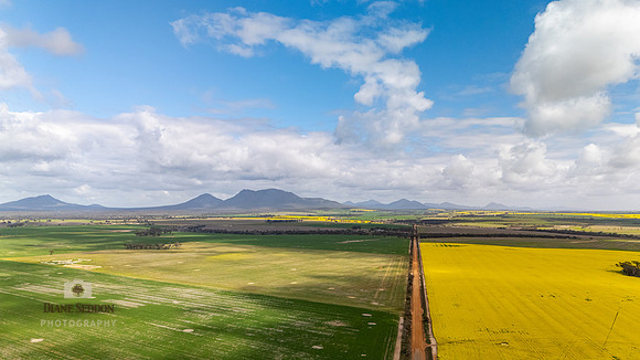 DJI_20250903113642_0227_D