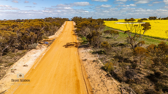 DJI_20250903134833_0241_D