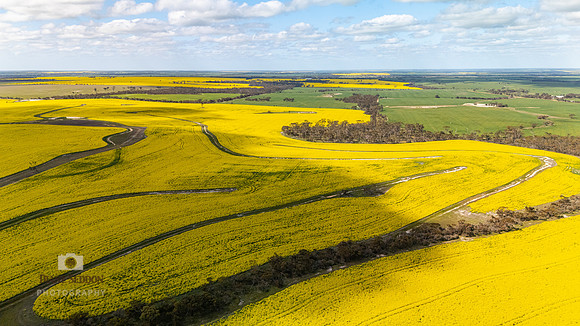 DJI_20250903134718_0239_D