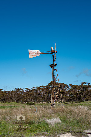 L1001036