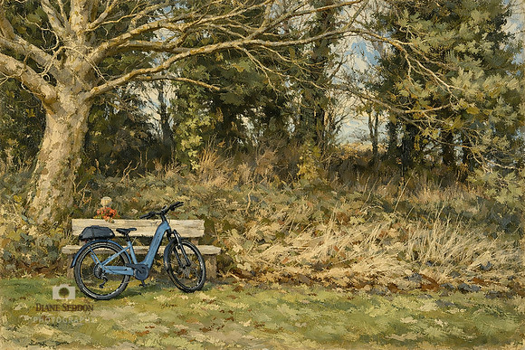 Wyham