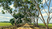Western Australia