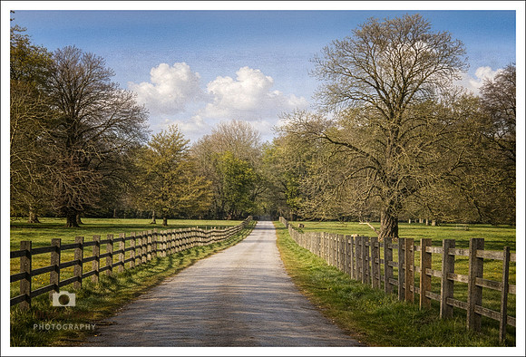 Country Lane