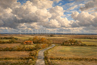 The Painterly Project