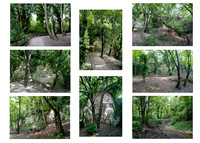 Chalk Quarry