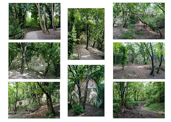 Chalk Quarry